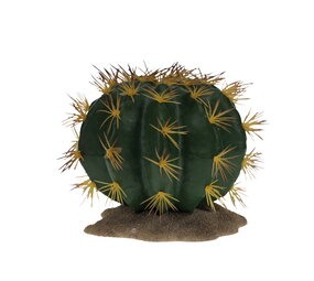 Terra Della Terrarium Echinocactus groen 1