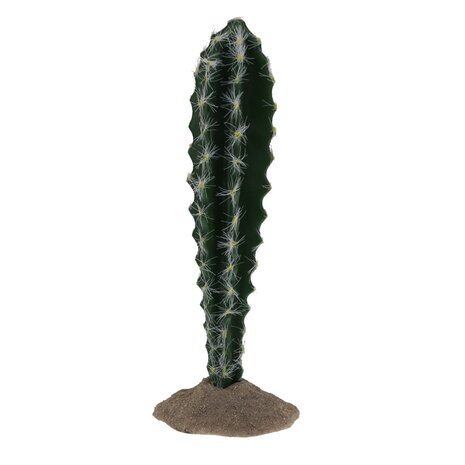 Terra Della Terrarium Cactus Cilinder 1
