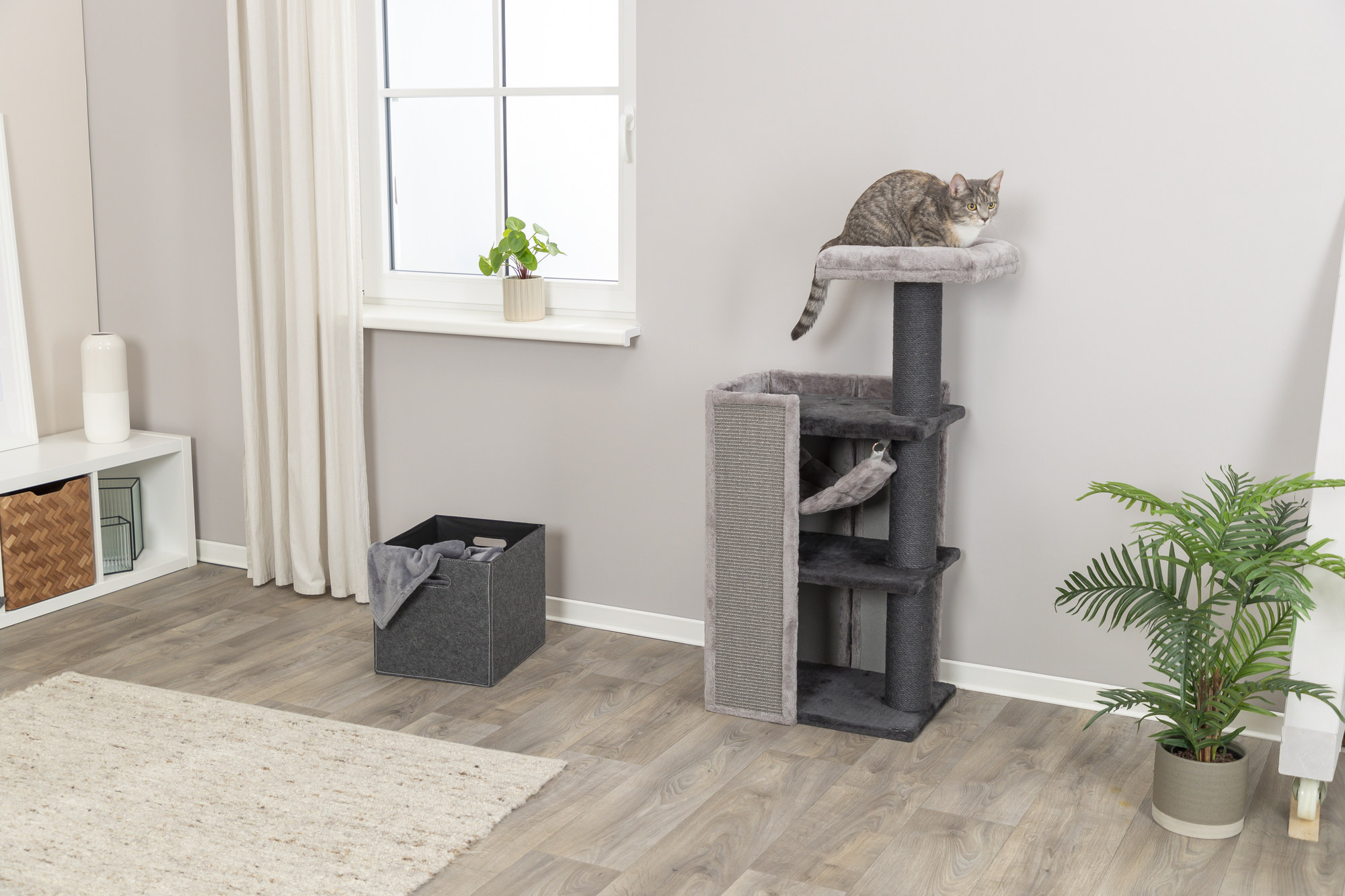 Hoe Kies je de Juiste Krabpaal voor je Kat?