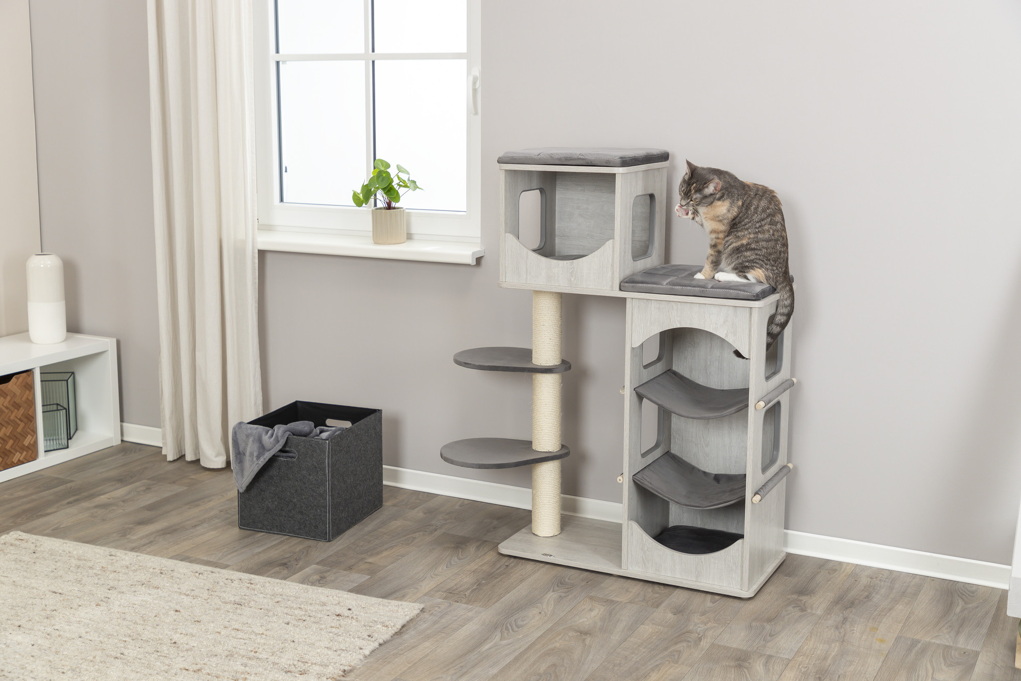 Waarom Krabt Mijn Kat aan Meubels?