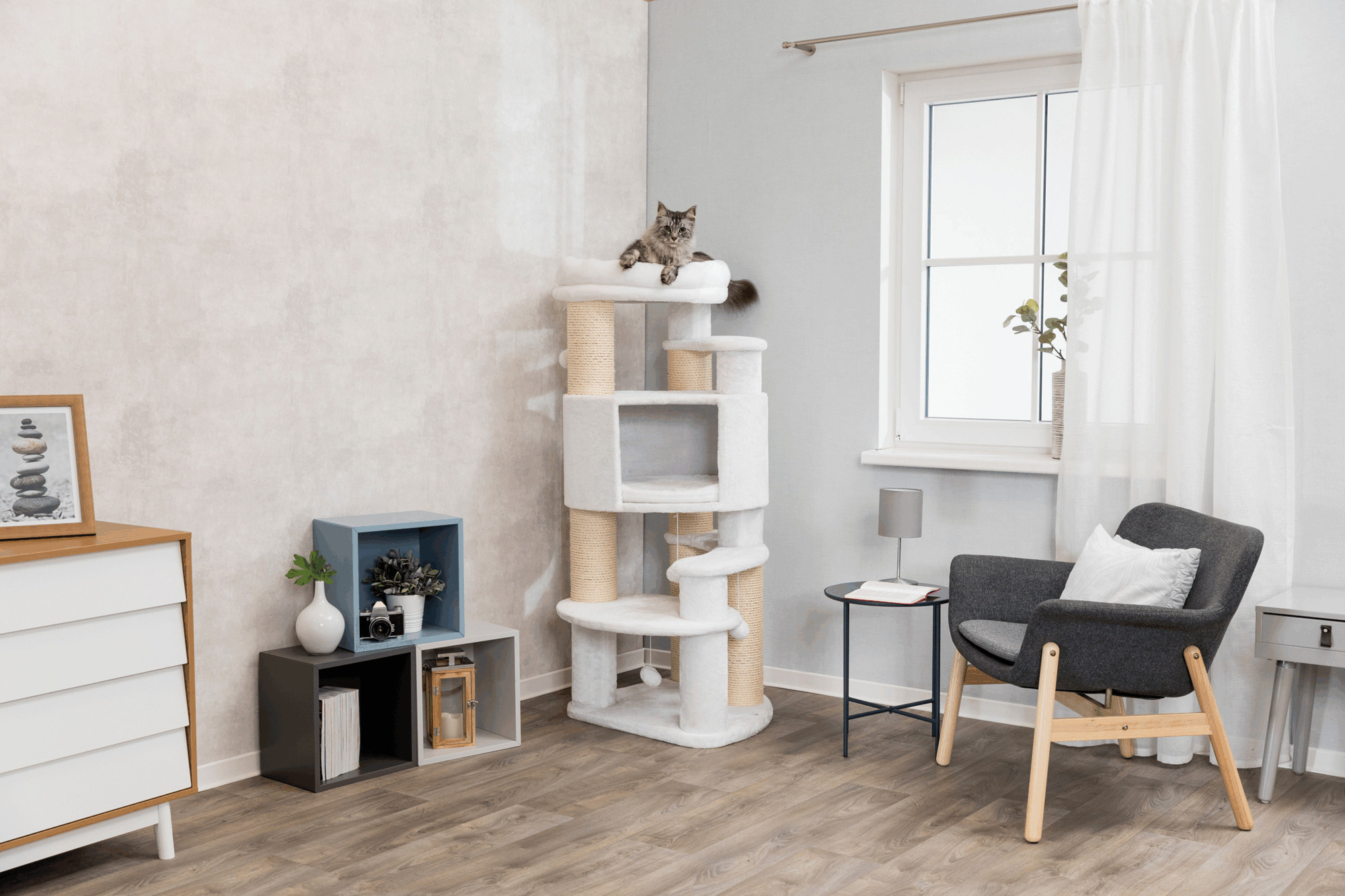 Hoe Leer Je je Kat de Krabpaal te Gebruiken?