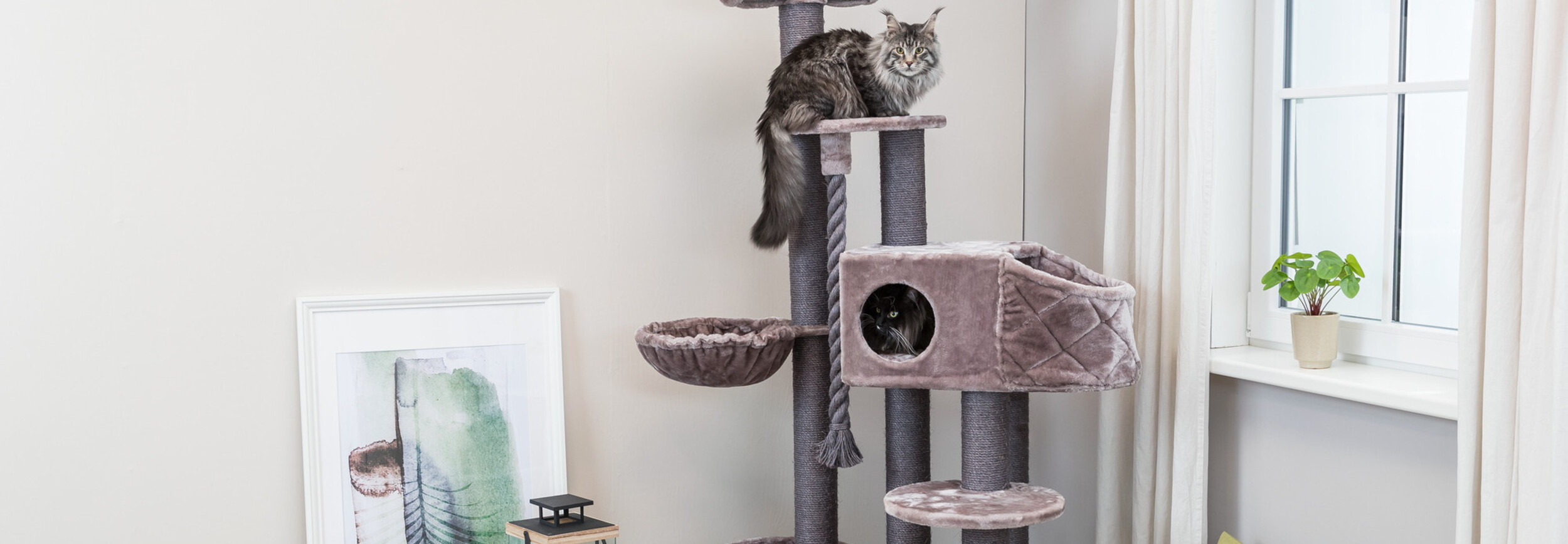PawGiant Grote kattenkooi met 4 niveaus, opvouwbare kattenren met