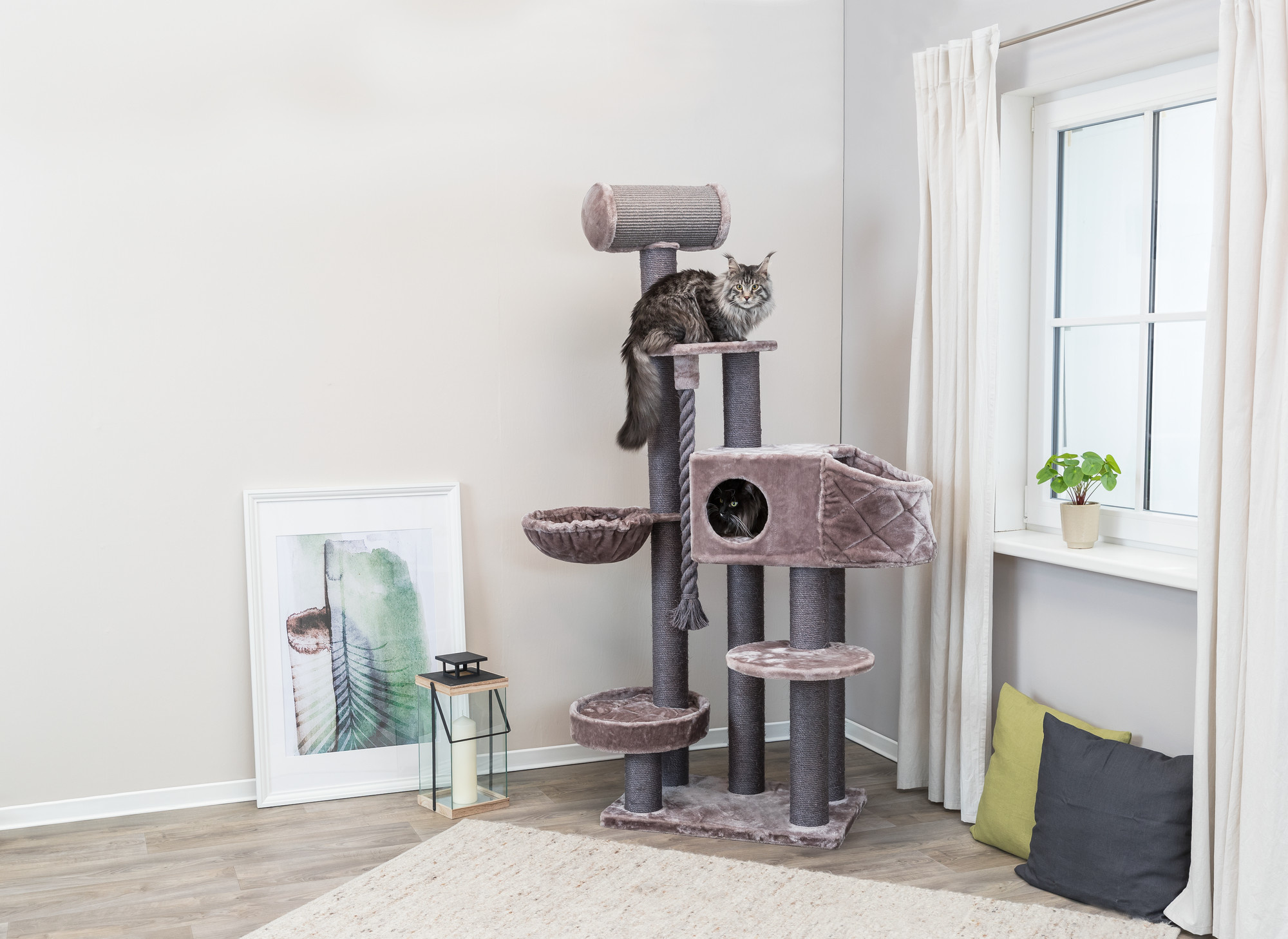Krabpaal: Essentieel voor Binnenkatten
