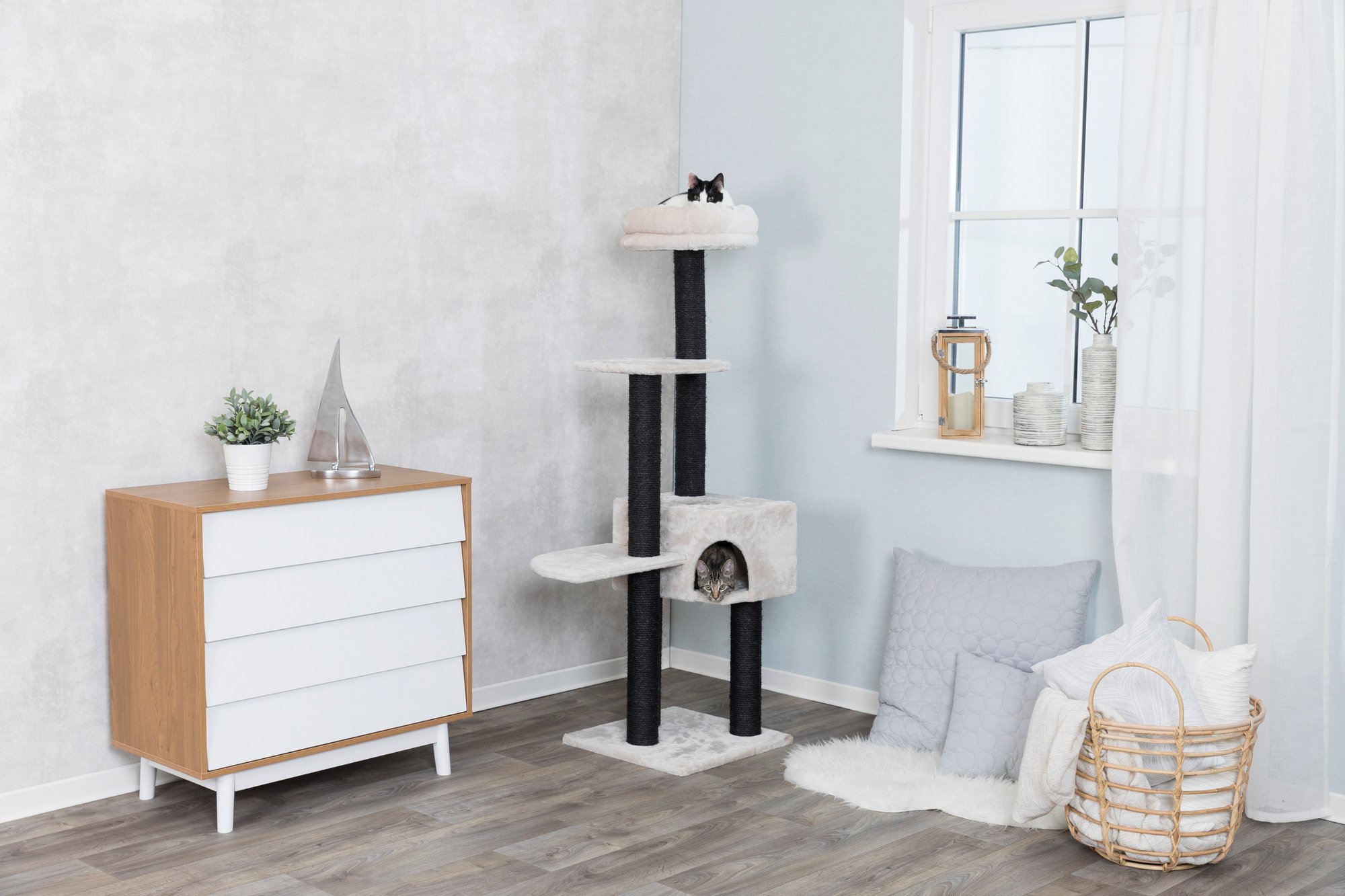 Krabpaal: Een Verrijking voor de Leefomgeving van je Kat