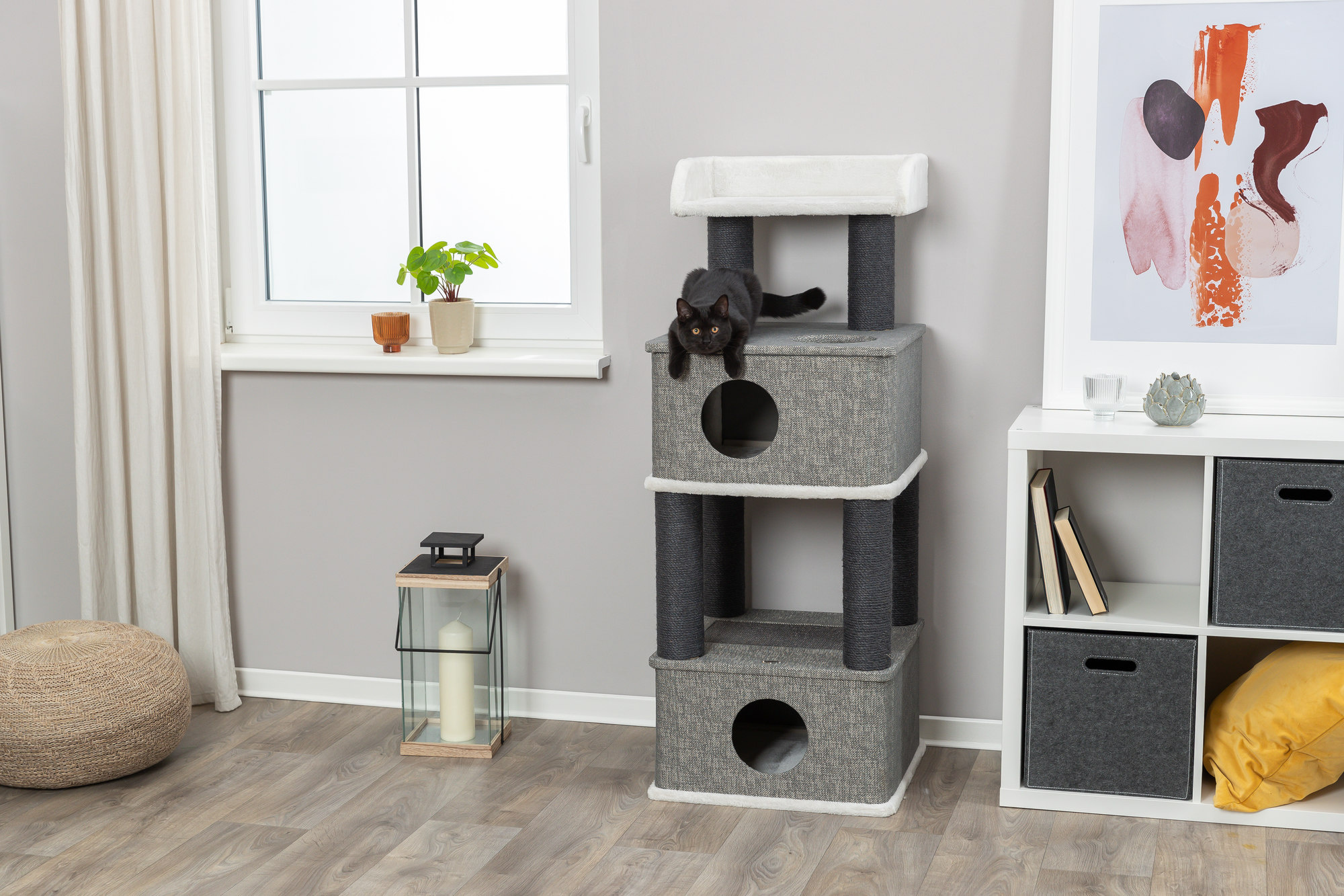 Krabpaal: Een Stressverlichter voor Je Kat