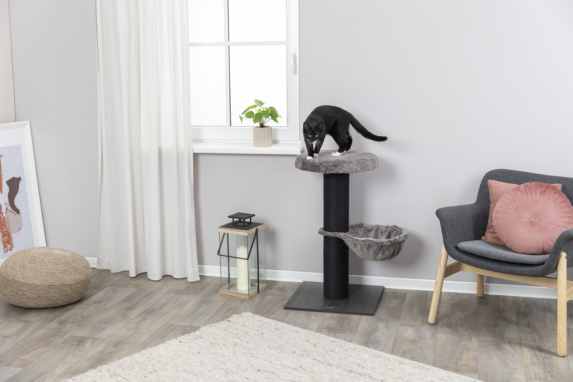 Krabpaal voor Kittens: Waarom het Belangrijk is Krabpaal voor Kittens: Waarom het Belangrijk is