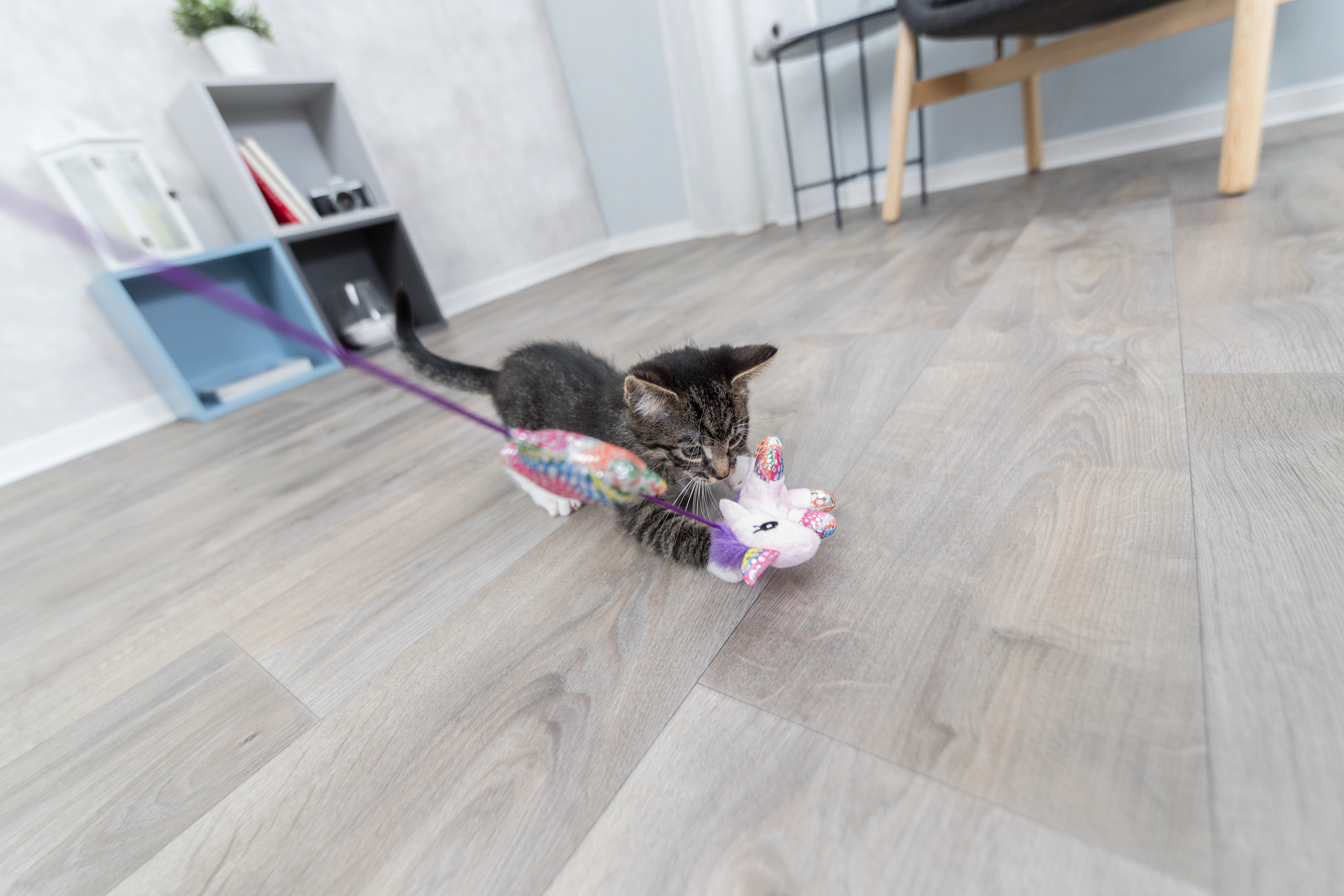 Ontdek de Beste Speeltjes voor Jouw Kat: Endeloos Vermaak Gegarandeerd