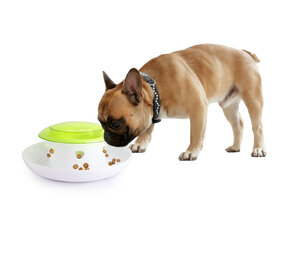 All For Paws Push 4 Meal Dispenser All For Paws Push 4 Meal Dispenser