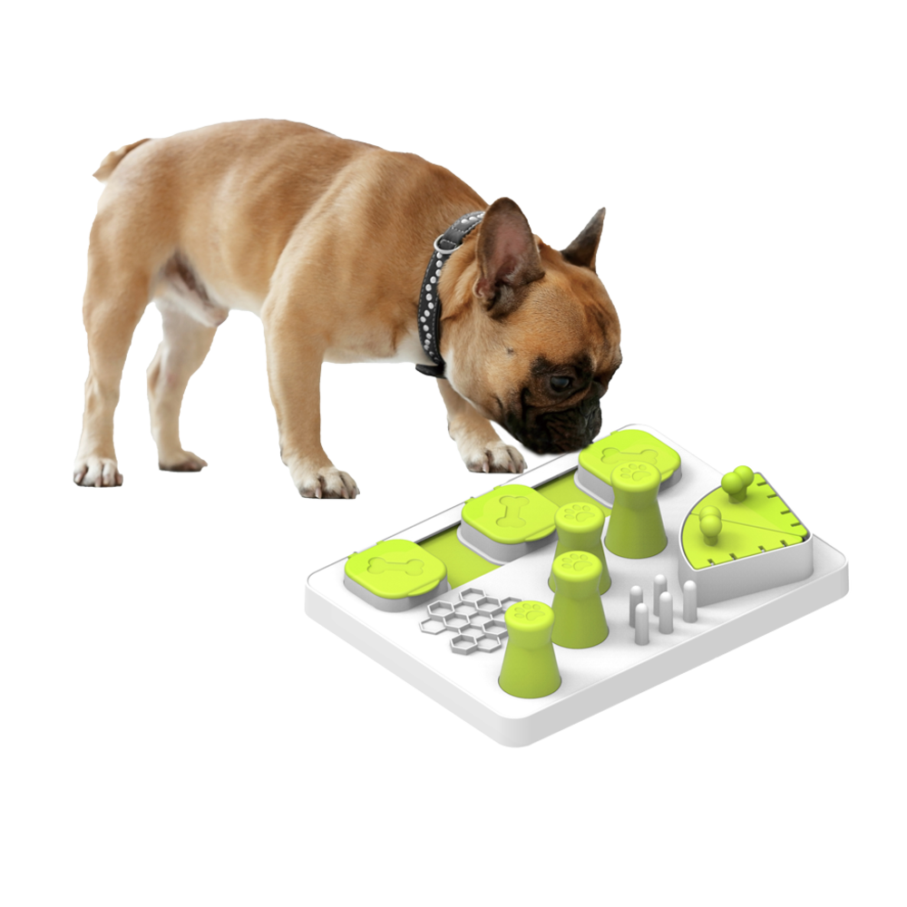 All For Paws Enjoy the Meal All For Paws Enjoy the Meal