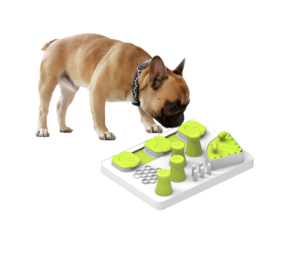 All For Paws Enjoy the Meal All For Paws Enjoy the Meal