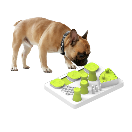 All For Paws Enjoy the Meal All For Paws Enjoy the Meal