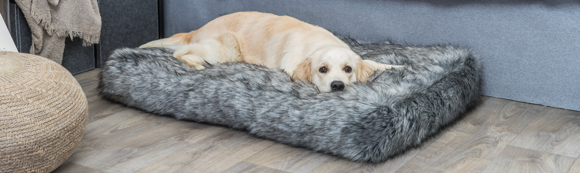 Hoe Kies Je de Juiste Maat Hondenkussen Voor Jouw Hond?