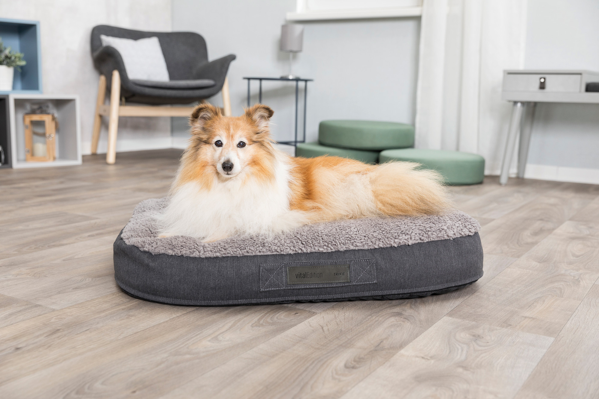 De Voordelen van Orthopedische Hondenkussens Voor Oudere Honden