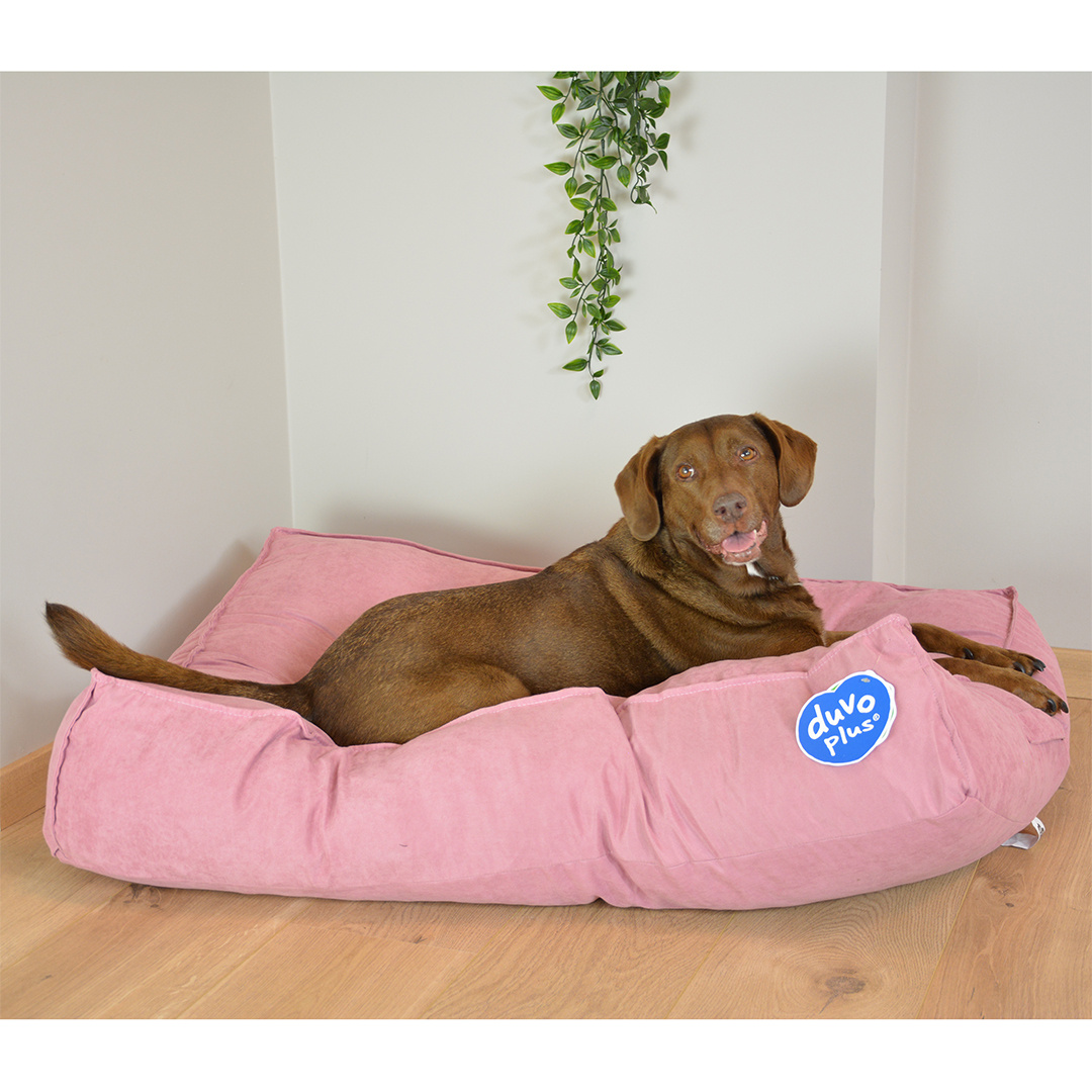 Eco-vriendelijke Hondenkussens: Duurzame Opties voor Milieubewuste Eigenaren