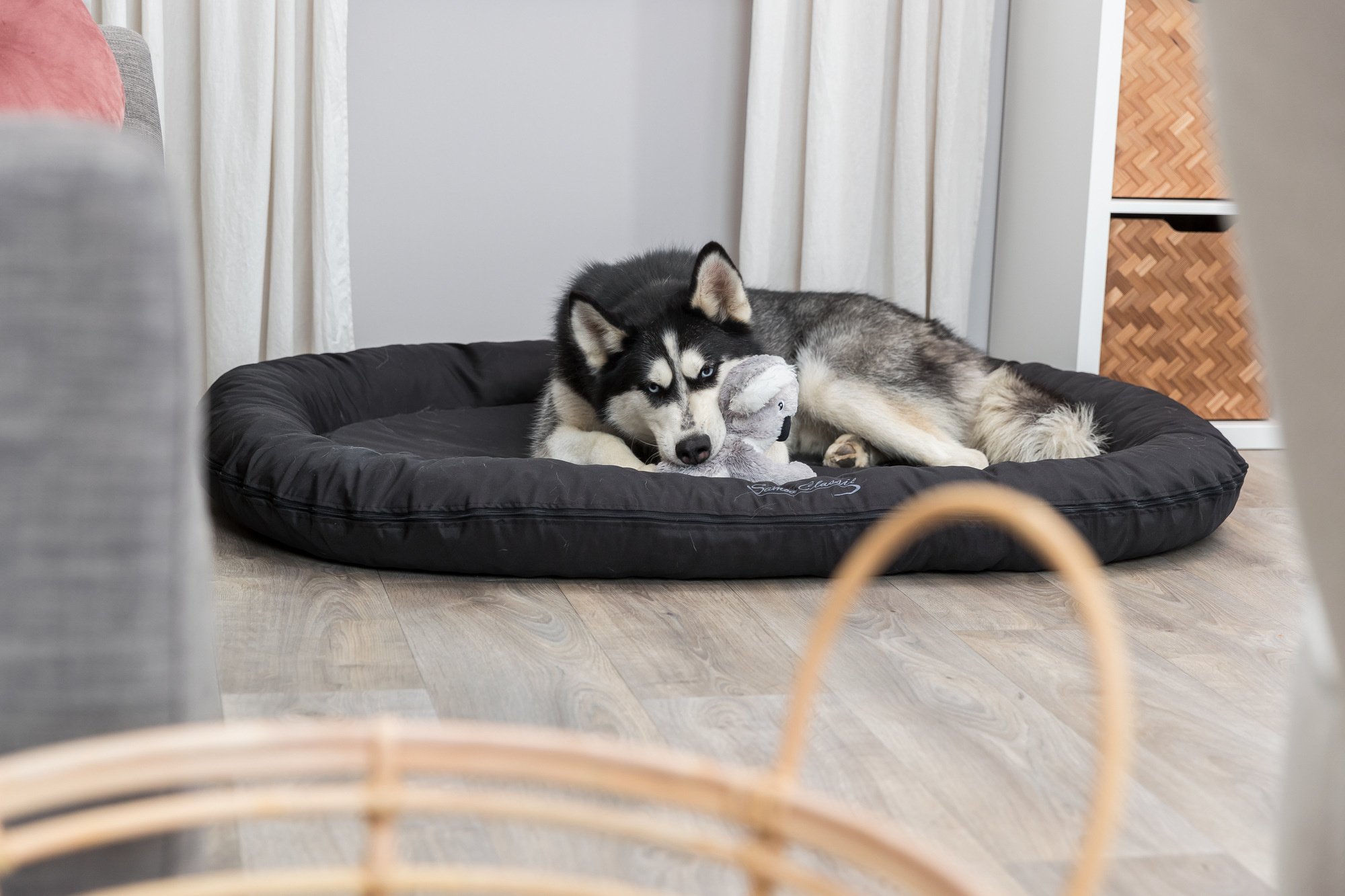 Het Belang van Ergonomie bij Hondenkussens: Ondersteuning en Comfort