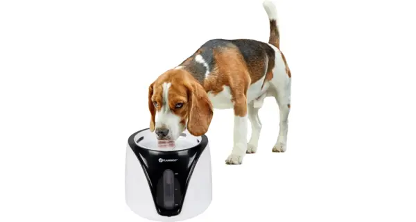 Flamingo Drinkfontein Adriana wit/zwart 2 ltr Flamingo Drinkfontein Adriana wit/zwart 2 ltr