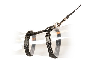 Duvo+ Kattentuig Refelecterend zwart Duvo+ Kattentuig Refelecterend zwart