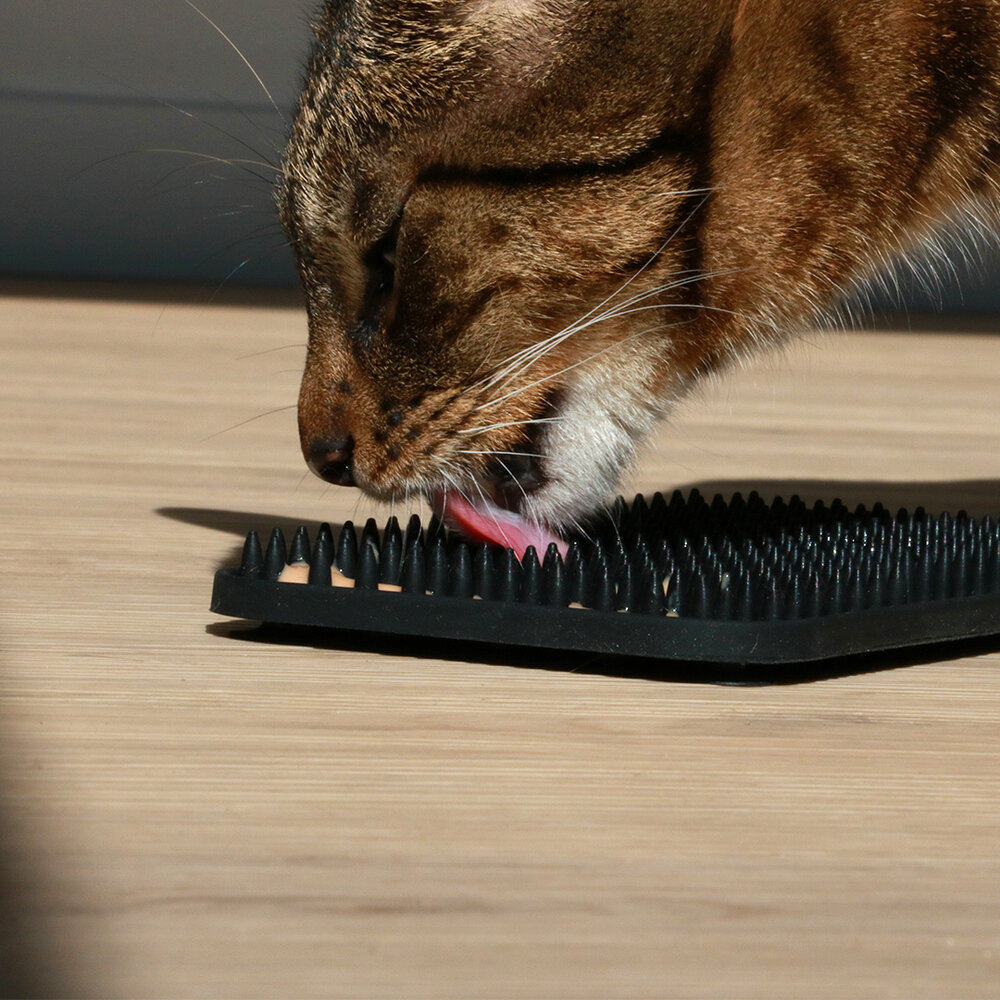 I Love Happy Cats Trex Likmat met Noppen zwart