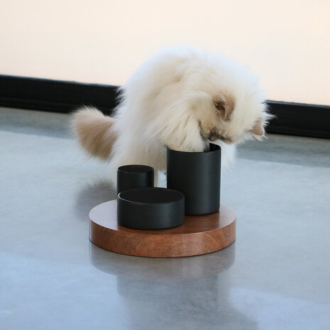 I Love Happy Cats Iggy Verrijkingskom met 3 niveaus