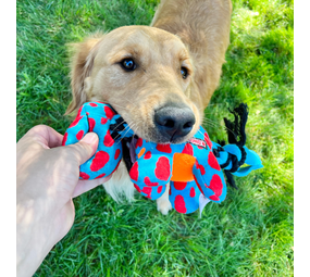 KONG Hondenspeelgoed Signature Dynos