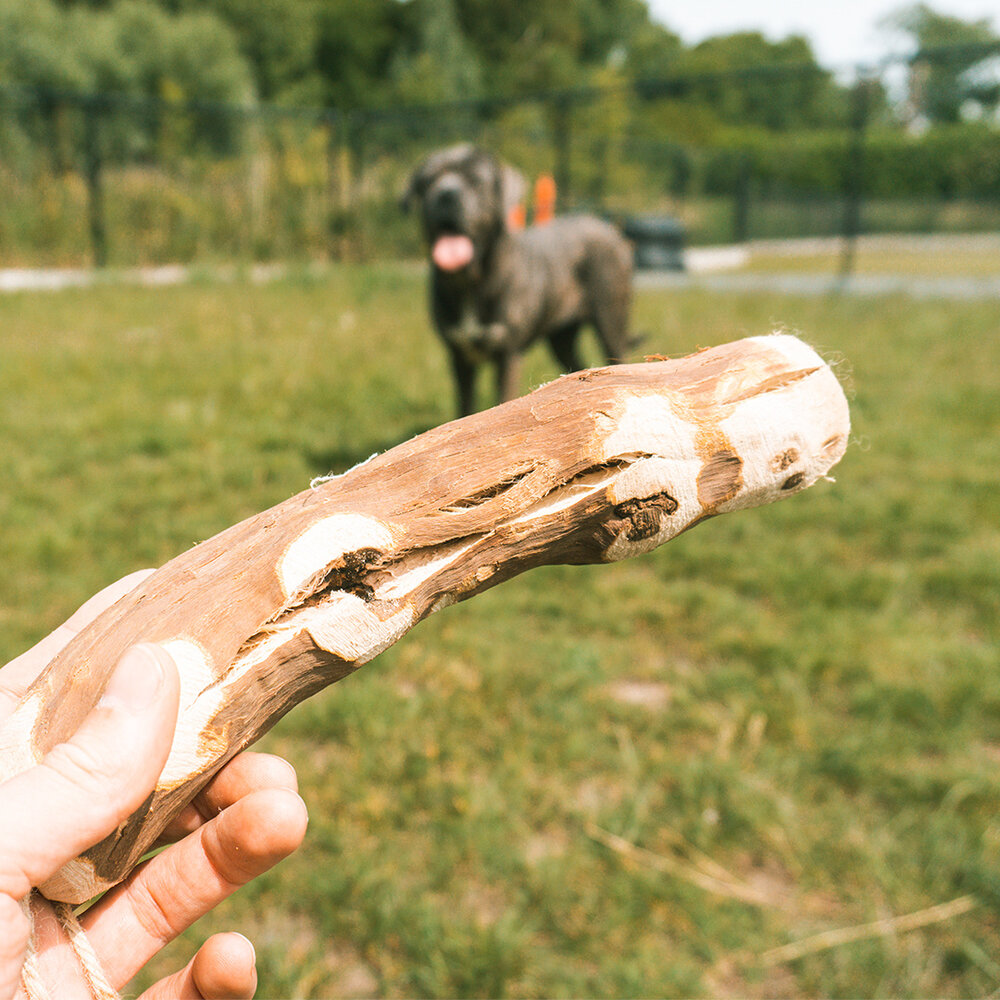 Duvo+ Wijnstok Kauwsnack