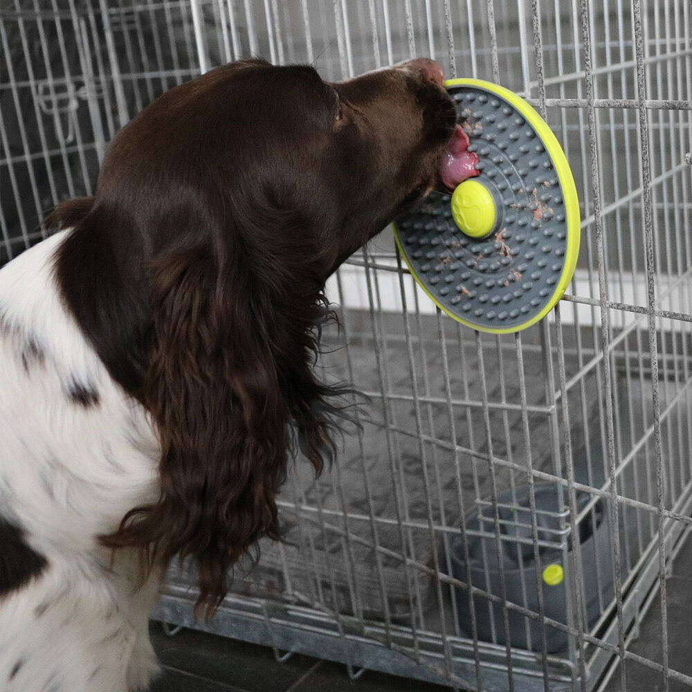 EBI Twist & Lick Ball grijs