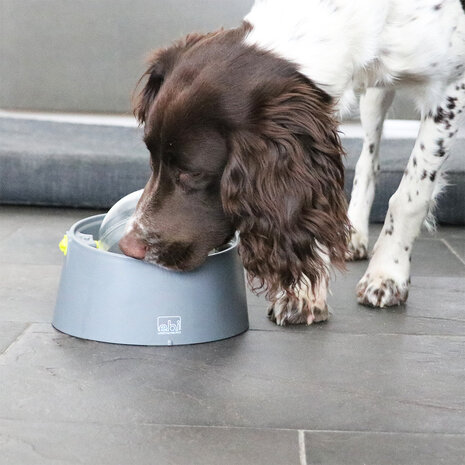 EBI Twist & Lick Ball grijs