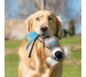 KONG Wubba Zoo Koala