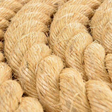Pets Gifts Klimtouw Sisal ⌀50 mm