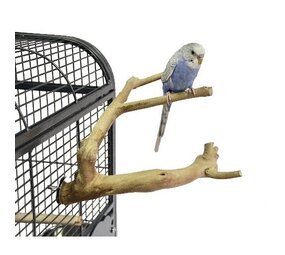 Java Multi Zitstok XS 20 cm