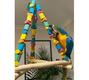 Pets Gifts Papegaaien Schommel Triangle Perch