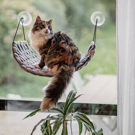 D&D Sofia Venster Raambed grijs