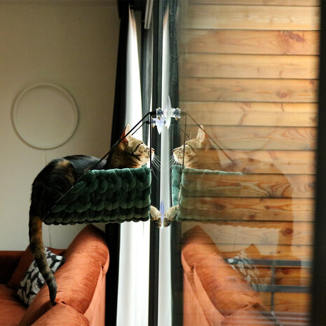 D&D Sofia Venster Raambed groen D&D Sofia Venster Raambed groen