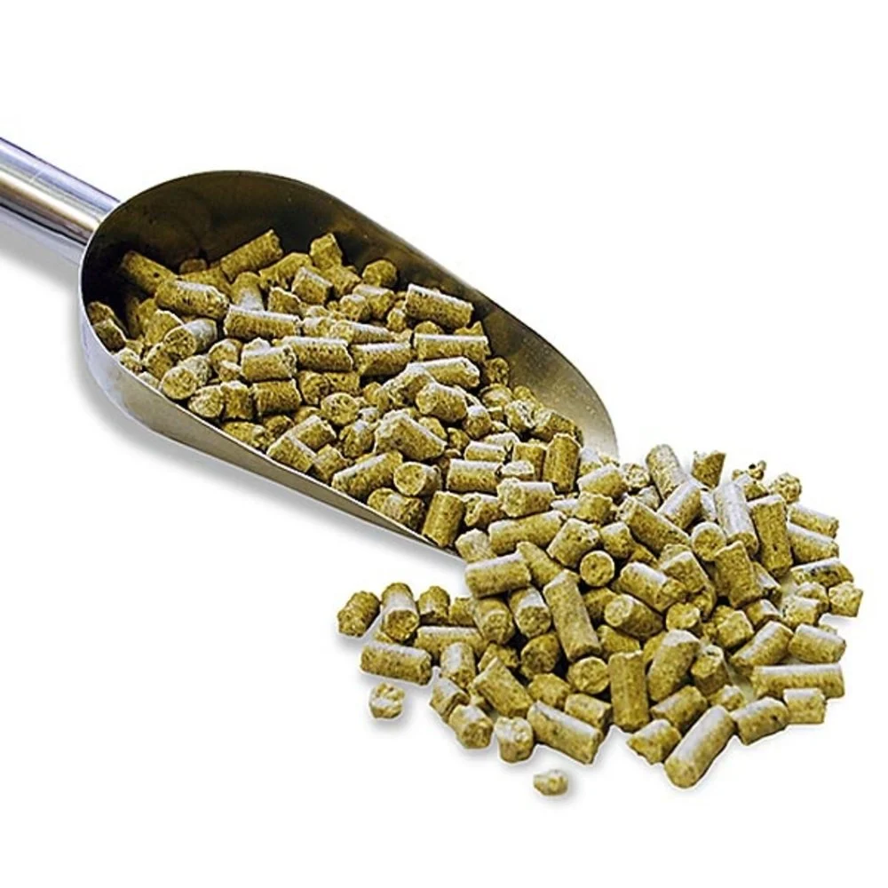 Wat is het Beste Papegaaienvoer?