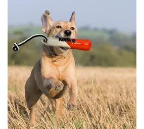 KONG Wild Shieldz Training Dummy KONG Wild Shieldz Training Dummy