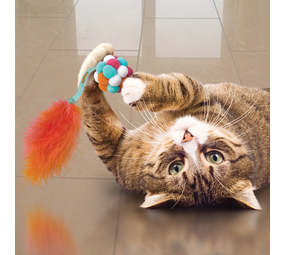 KONG Cat Active Bubble Ball KONG Cat Active Bubble Ball