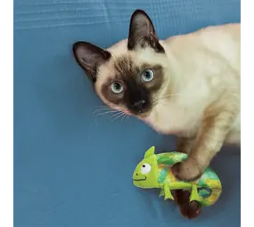 KONG Refillables Chameleon KONG Refillables Chameleon