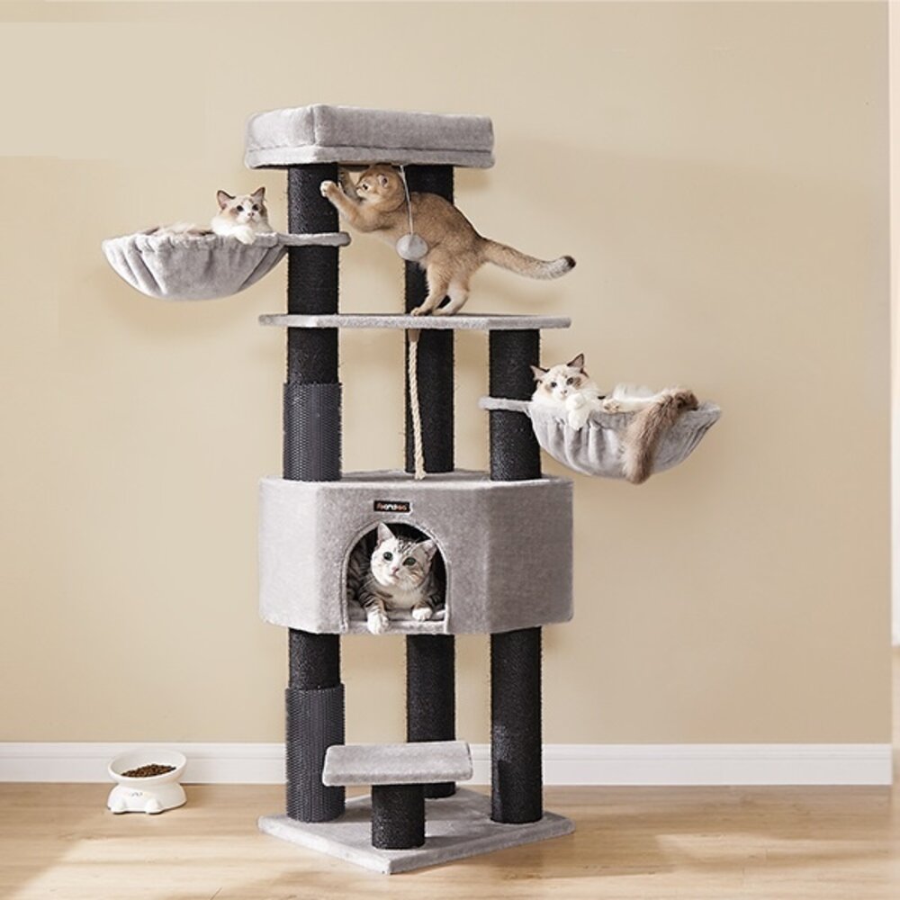 Pets Gifts Krabpaal Maine Coon Stade Pets Gifts Krabpaal Maine Coon Stade