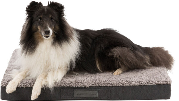 Trixie Orthopedisch Hondenkussen Bendson donkergrijs Trixie Orthopedisch Hondenkussen Bendson donkergrijs