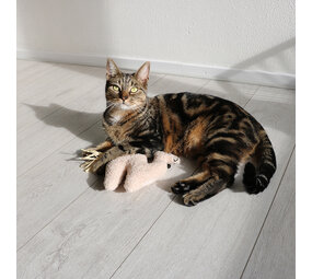 D&D Latif Catnip Trappelkussen D&D Latif Catnip Trappelkussen