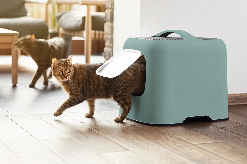 De Beste Grote Kattenbakken Voor Grote Kattenrassen