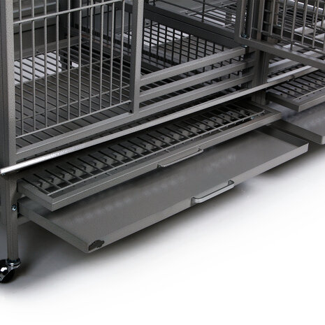 Montana Papegaaienkooi Palace antique