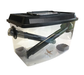 Terra Della Krekelbak 30 cm Terra Della Krekelbak 30 cm