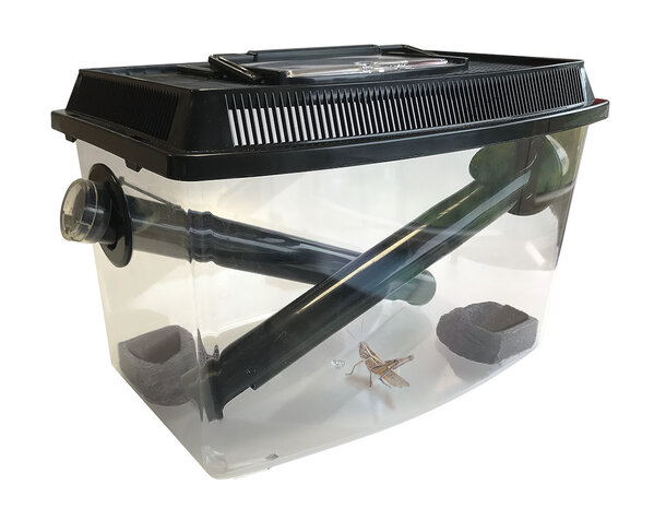 Terra Della Krekelbak 30 cm Terra Della Krekelbak 30 cm