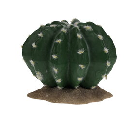 Terra Della Terrarium Echinocactus groen 2