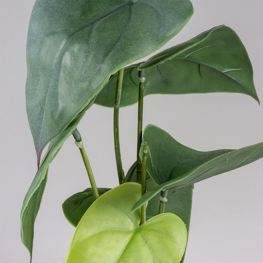 Terra Della Terrarium Kunstplant Monstera groen