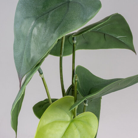 Terra Della Terrarium Kunstplant Monstera groen
