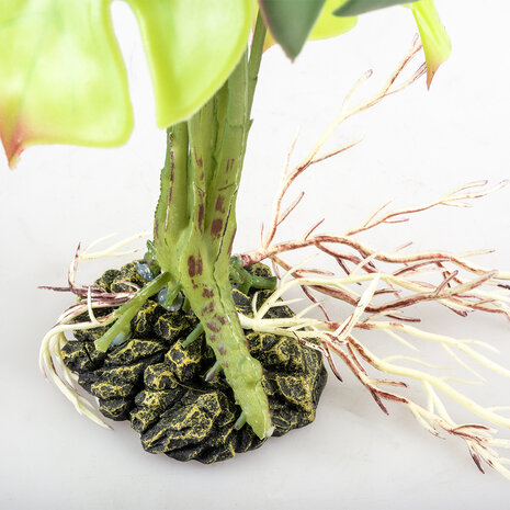 Terra Della Terrarium Kunstplant Monstera groen