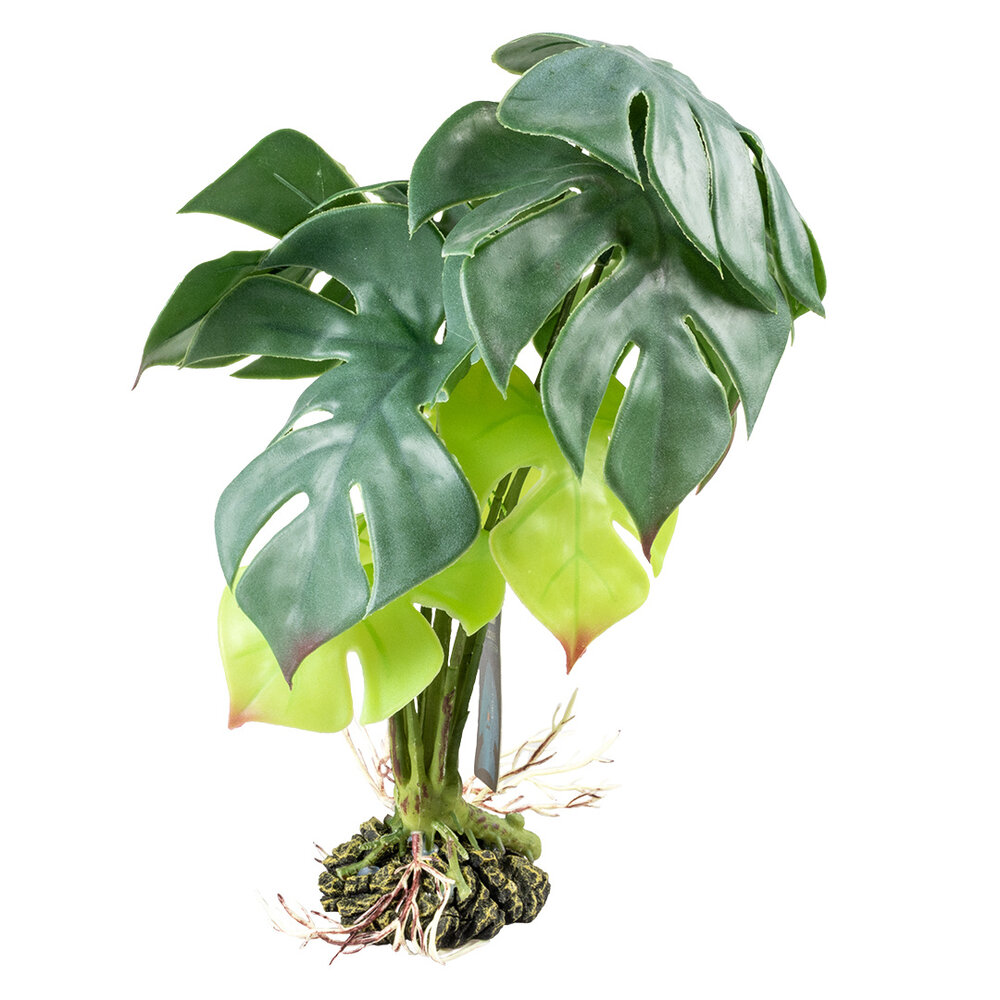 Terra Della Terrarium Kunstplant Monstera groen