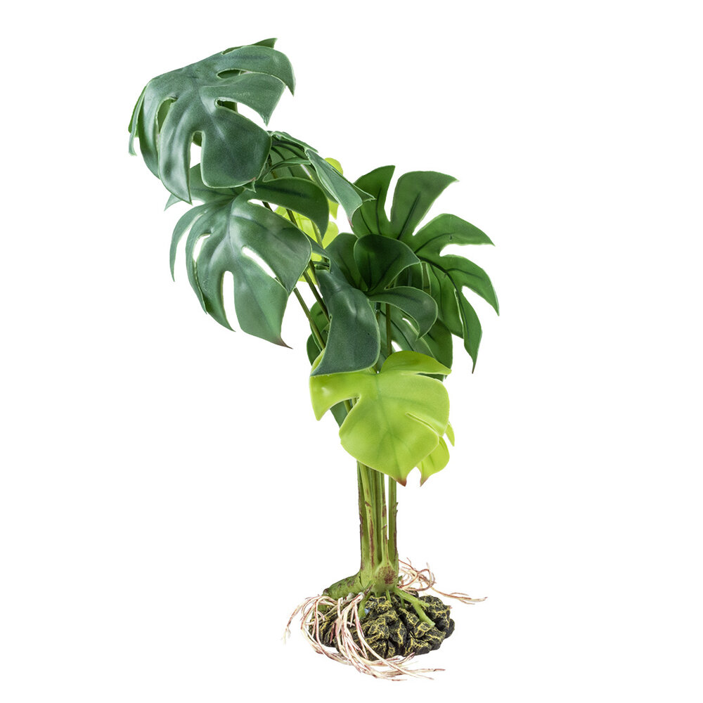 Terra Della Terrarium Kunstplant Monstera groen